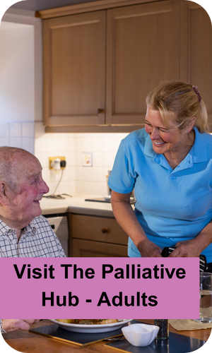 A carer and an elderly man having tea